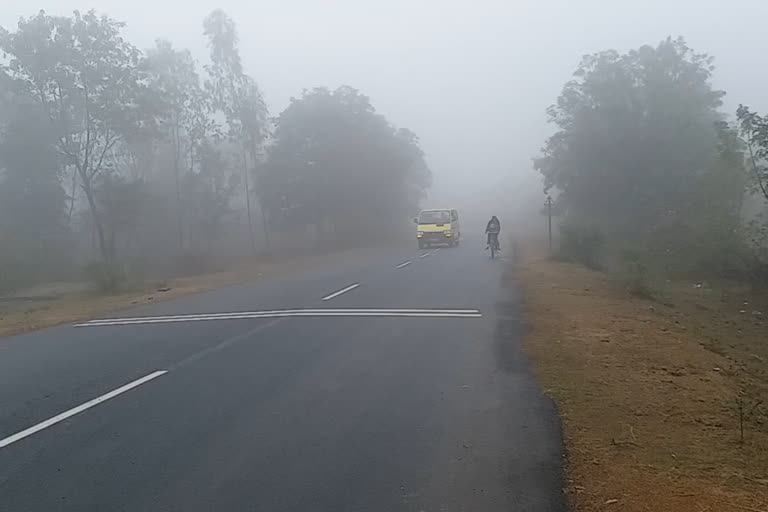 dense fog in Shahdol