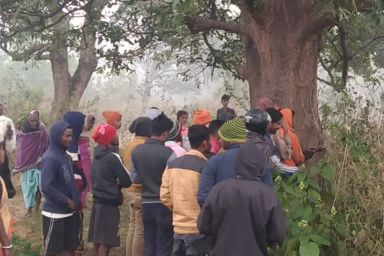 Young couple found hanging from tree