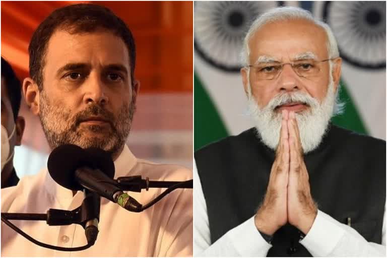 PM's 'Rahul doesn't listen' remark meant I don't back down: Wayanad MP  rahul gandhi reply to pm modi  rahul gandhi vs modi  മോദിക്ക് മറുപടിയുമായി രാഹുൽ  മോദിക്കെതിരെ രാഹുൽ  രാഹുൽ കേൾക്കുന്നില്ല