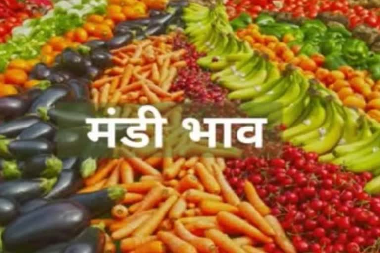 vegetable and fruit price in raipur