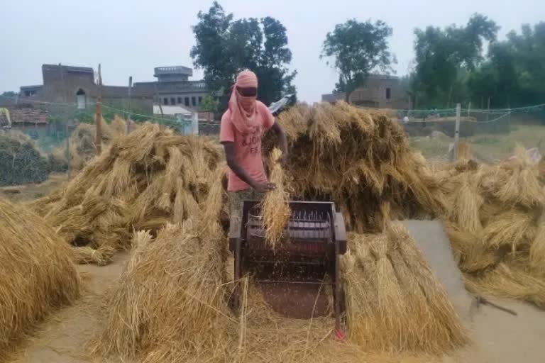 Paddy procurement in Jharkhand