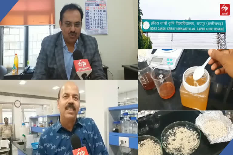 Sugar syrup separation technology  Chhattisgarh agricultural scientists  protein and carbohydrate from rice  നെല്ലിൽ നിന്ന് പഞ്ചസാര സിറപ്പ്  പുത്തൻ സാങ്കേതികവിദ്യ  പുത്തൻ പരീക്ഷണവുമായി ശാസ്‌ത്രജ്ഞർ  latest science news