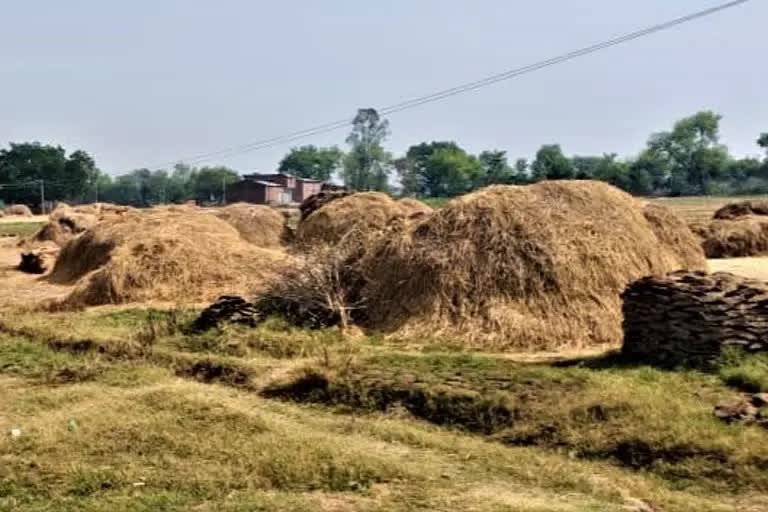 भारी मात्रा में होम्योपैथिक दवा बरामद