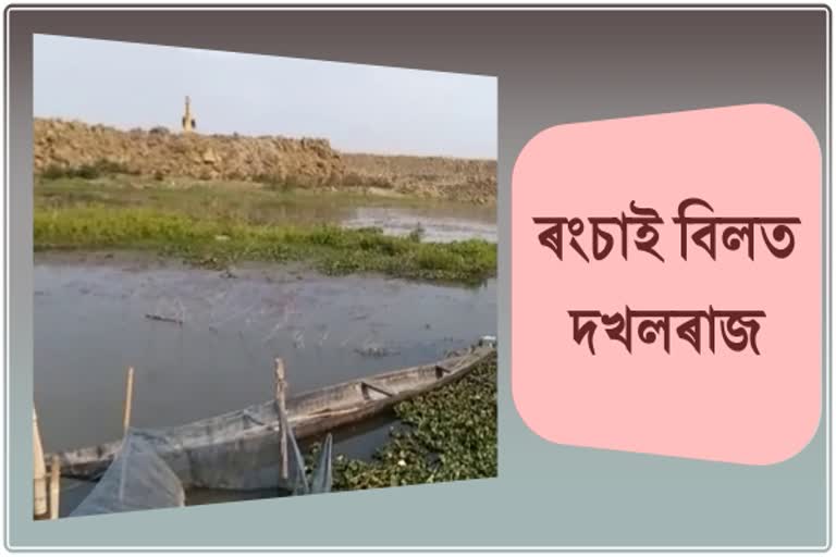 Illegal Encroachment in Rongsai Marsh in Sibsagar