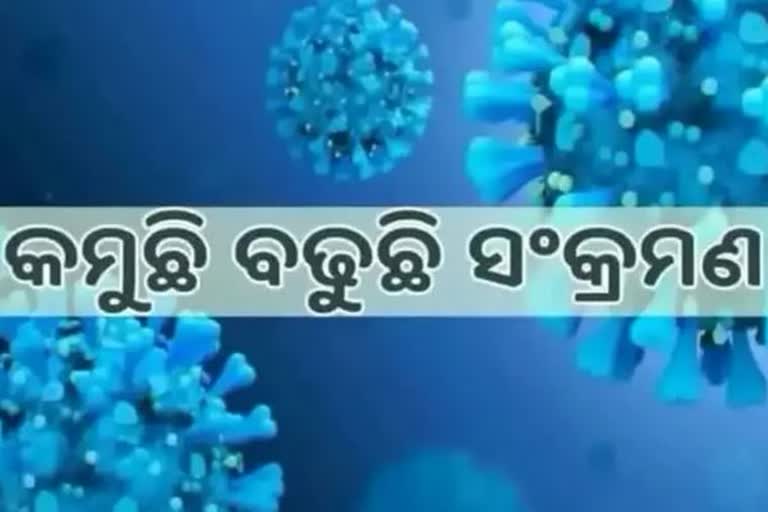 Odisha Corona Report: ଦିନକରେ 1539 ପଜିଟିଭ ଚିOdisha Corona Report: ଦିନକରେ 1539 ପଜିଟିଭ ଚିହ୍ନଟ, ୨୪ ମୃତOdisha Corona Report: ଦିନକରେ 1539 ପଜିଟିଭ ଚିହ୍ନଟ, ୨୪ ମୃତହ୍ନଟ, ୨୪ ମୃତ