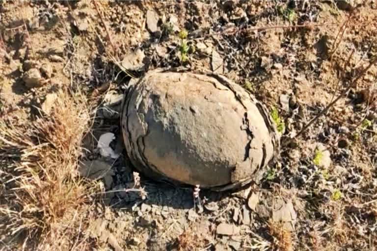 indore dinosaur eggs news