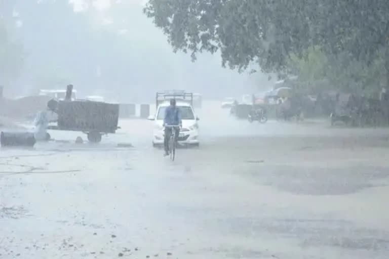 Kerala rain alert  Thiruvananthapuram Latest News  മഴ മുന്നറിയിപ്പ്  കേരളം കാലാവസ്ഥ