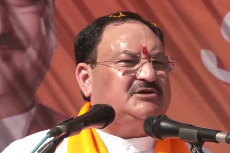 BJP president J P Nadda on Saturday said a "new" Punjab free of mafia and drugs will be built and the state will be put on the path of development if the alliance led by his party wins the Assembly polls.