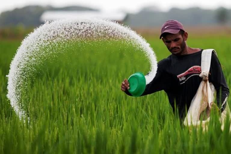 பிப்ரவரி 15-ற்கு மேல் பயிர்களை சாகுபடி செய்ய ‘விதைப்பு சான்றிதழ்’ அவசியம் - உழவர் நலத்துறை