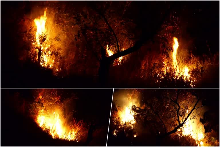 Wildfires are rampant in the Idukki hills  Wildfires in idukki  ഇടുക്കി മലയോരമേഖലയിൽ വ്യാപാകമായി കാട്ടു തീ പടരുന്നു  ഇടുക്കിയിൽ കാട്ടു തീ  സ്വര്‍ഗം മേട് മലനിരകളിൽ കാട്ടുതീ  രാജാക്കാട് ഫയർ സ്റ്റേഷൻ വേണമെന്ന് ആവശ്യം