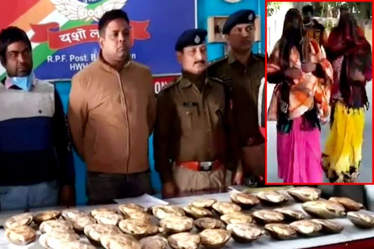 Tortoise Rescue From Bardhaman Station