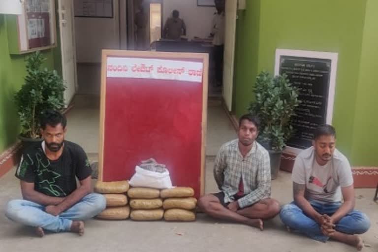 Bangalore city police seize ganja