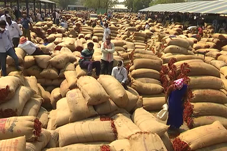 huge crowd of mirchi farmers to khammam market yard