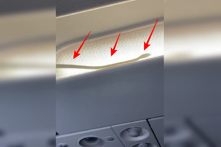 Viral video:  Snake inside  the Air Asia flight