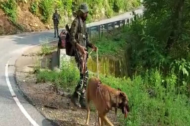 police-naxal-encounter-in-lohardaga-firing-in-narayanpur-forest
