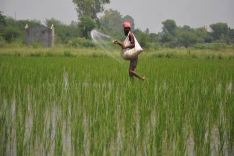 Chemical free farming education to MP farmers