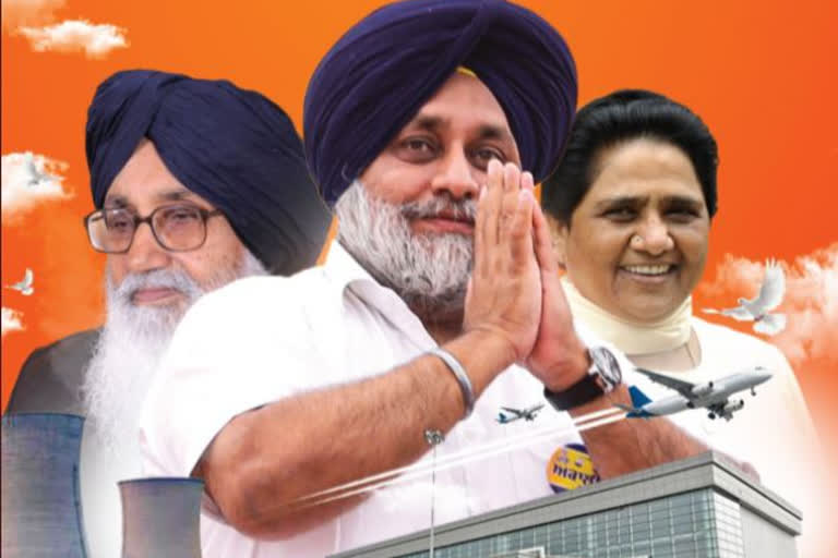 file photo akali dal