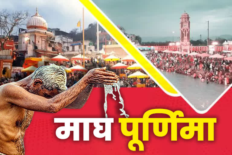 haridwar latest news