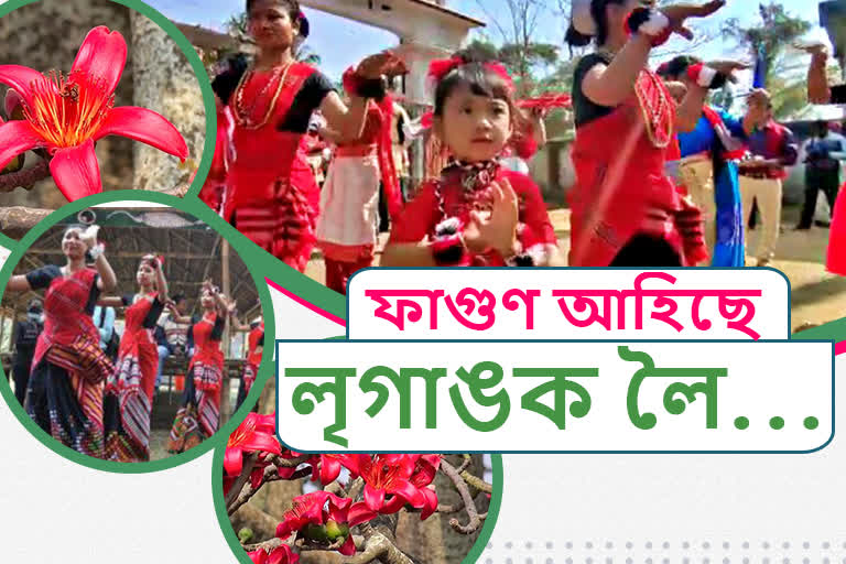 Ali Ai Ligang Celebration over the Assam