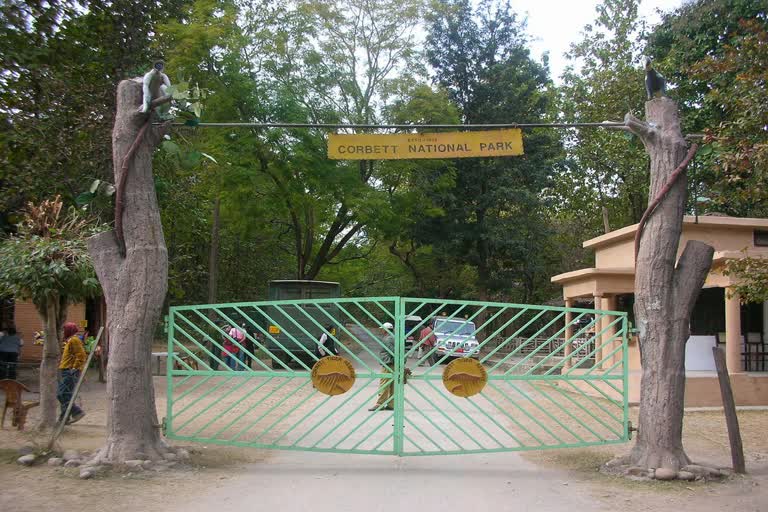 corbett-park