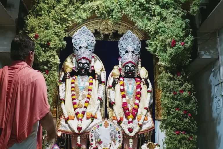 Decoration in Junagadh Swaminarayan Temple: જૂનાગઢમાં ઠાકોરજીને કરાયો લીલી વરિયાળીનો શણગાર