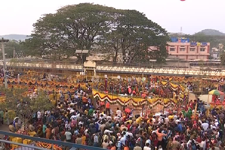 మేడారం గద్దెలపై కొలువుదీరిన సారలమ్మ