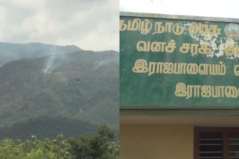 ராஜபாளையத்தில் ரூ.10 லட்சம் மதிப்பிலான யானை தந்தம் பறிமுதல்