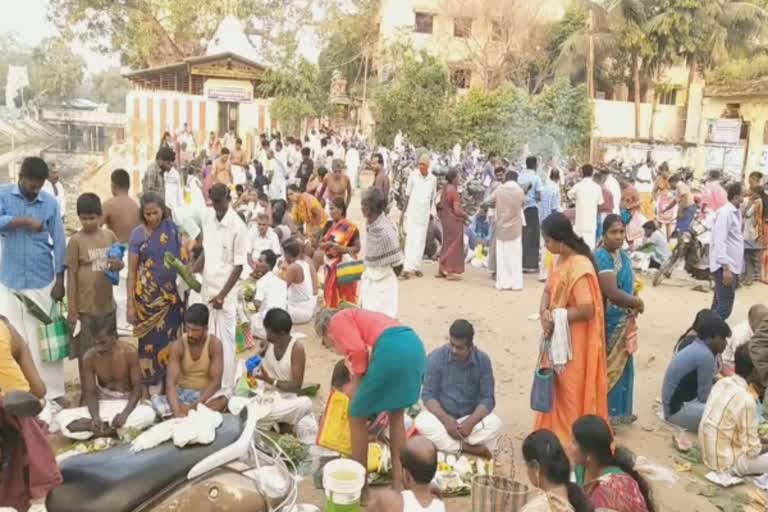 மாசிமகம் - காவிரி துலா கட்டத்தில் முன்னோர்களுக்கு தர்ப்பணம்