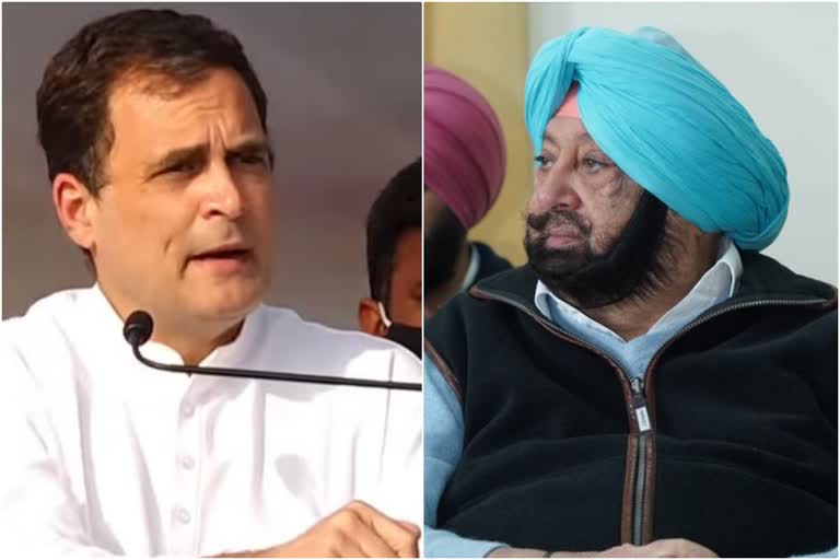 rahul-gandhi-on-capt-amarinder