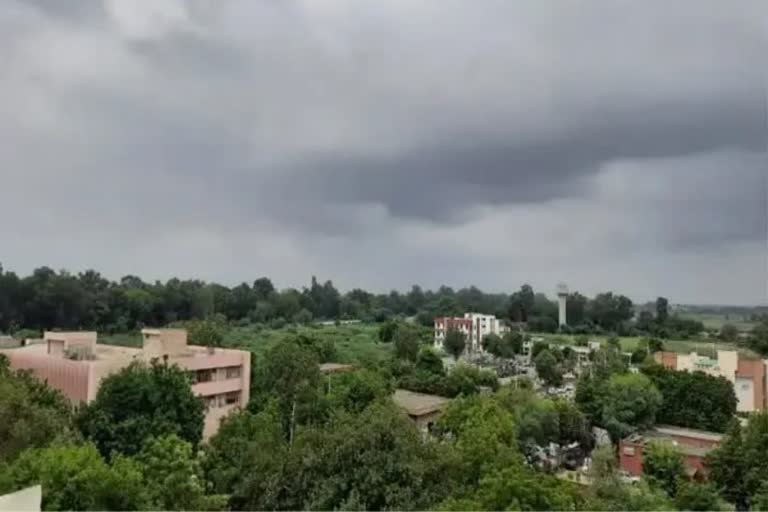 weather, punjab weather