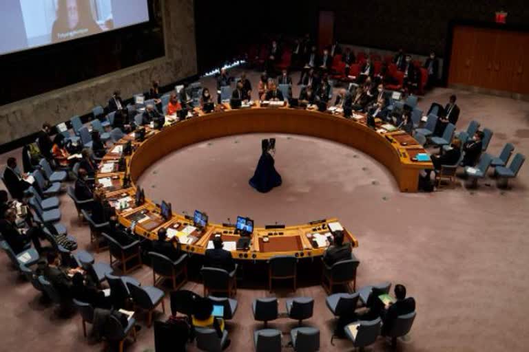 Security Council on Ukraine crisis