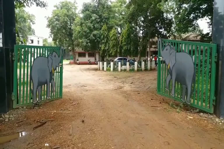 Preparations to send Baherdev and the beloved elephant to the rescue center