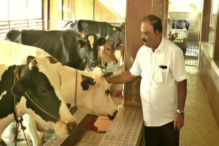 Udupi Businessman Suresh protecting more than 70 cattles