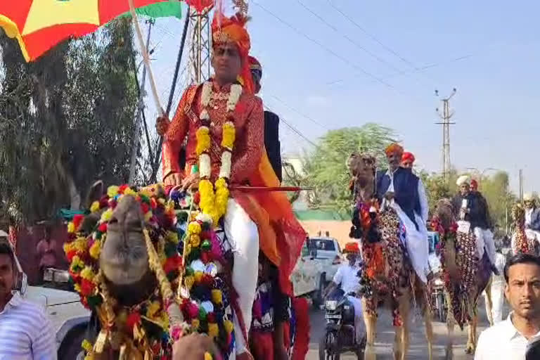 Royal Barat on camels in Barmer