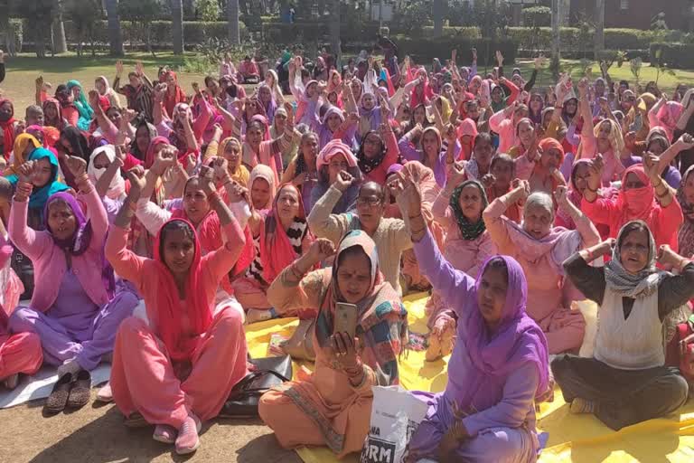 anganwadi workers protest in rohtak