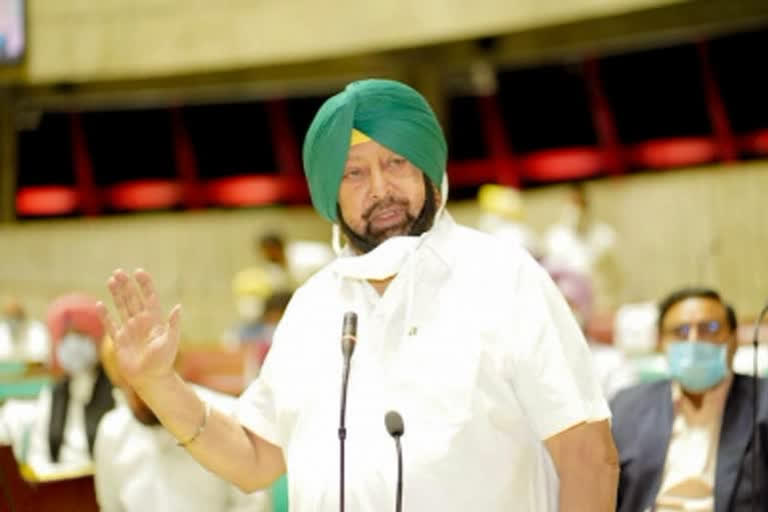 Punjab Polls: Can Capt Amarinder's PLC spoil the electoral game of Congress?