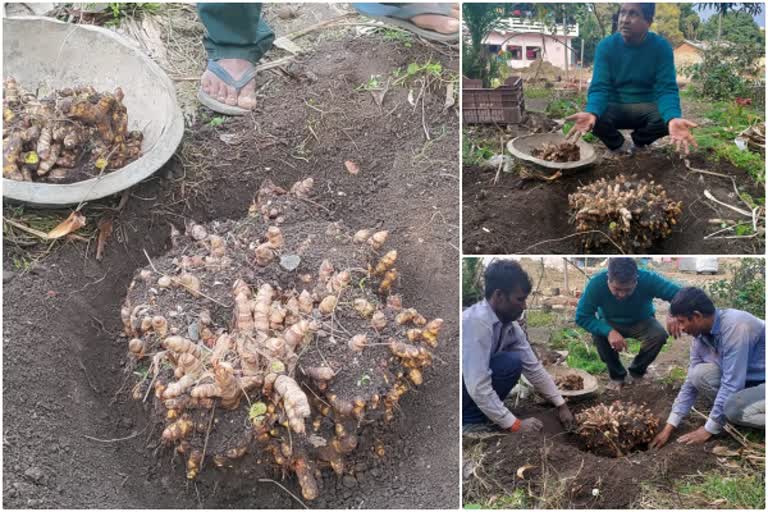 Uttarakhand Farmer 24KG Turmeric