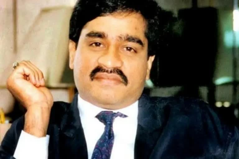 dawood ibrahim