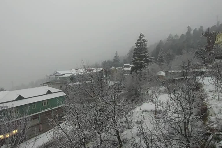 snowfall in kinnaur