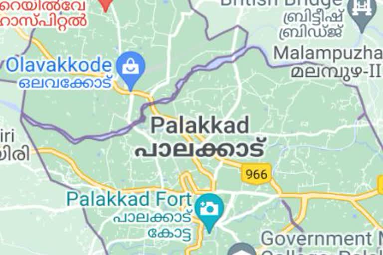 middle aged man attempted to suicide in Palakkad  പാലക്കാട് വീട്ടമ്മയെ വെട്ടിപ്പരിക്കേല്‍പ്പിച്ച അയൽവാസി ആത്മഹത്യക്ക് ശ്രമിച്ചു  Palakkad todays news  പാലക്കാട് ഇന്നത്തെ വാര്‍ത്ത