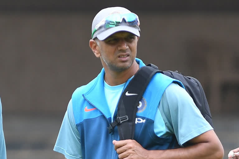 Rahul Dravid on Indian team, Rahul Dravid on India World Cup team, Dravid on Rohit Sharma, Rahul Dravid comments