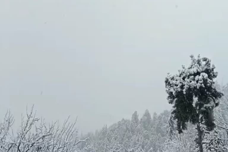 Himachal Weather Update