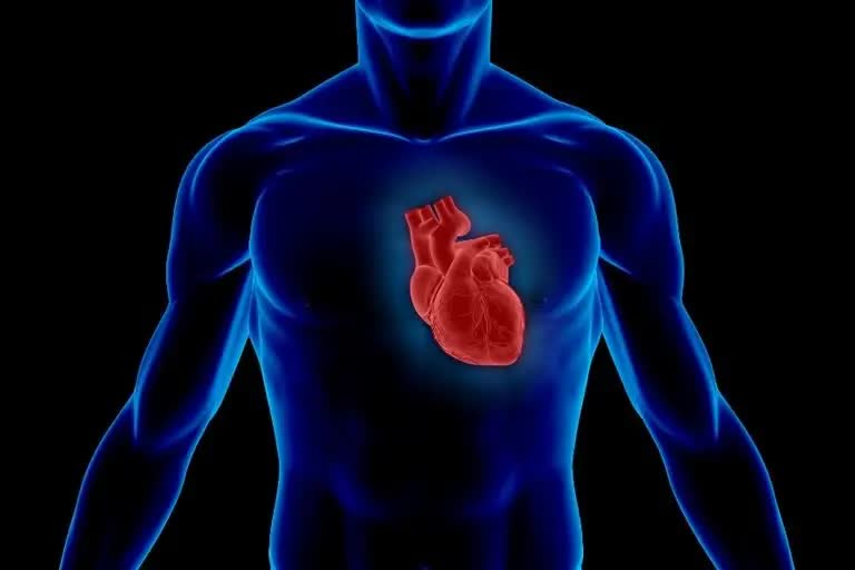 Problem Of Heart Blockage: જાણો હાર્ટ બ્લોકેજ વિશે અને રાખો આ તકેદારી