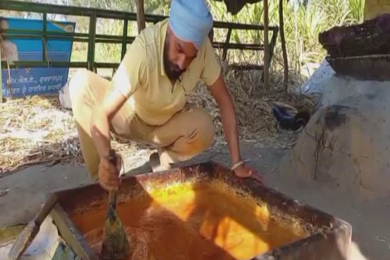 ਵੇਖੋਂ ਕਿਵੇਂ 1 ਲੱਖ 50 ਹਜ਼ਾਰ ਰੁਪਏ ਪ੍ਰਤੀ ਮਹੀਨੇ ਕਮਾ ਰਿਹੈ ਇਹ ਕਿਸਾਨ