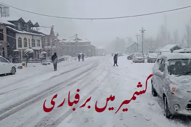 Snowfall in Kashmir: کشمیر میں بارشوں اور برفباری کا سلسلہ جاری