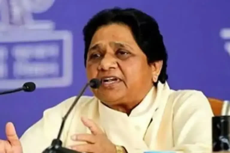 Bahujan Samaj Party chief Mayawati on Tuesday said if her party forms government in Uttar Pradesh those who have migrated from the state will be called back and given jobs.