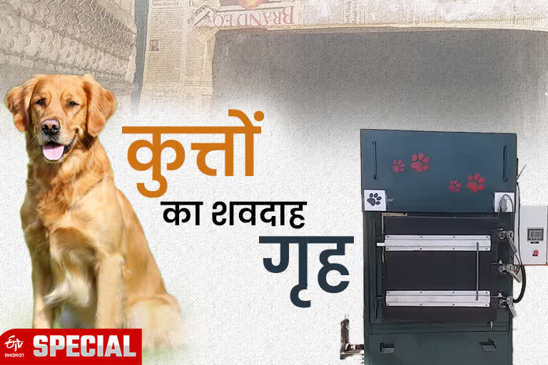 Uttar Pradesh first cremation ground built for dogs in ghaziabad