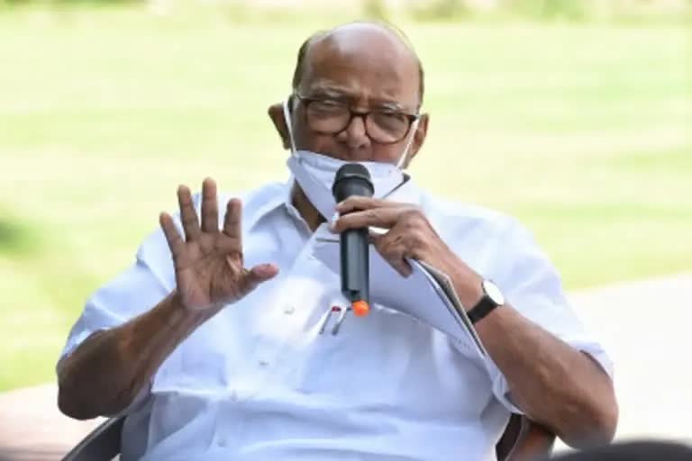 Sharad Pawar on Nawab Malik