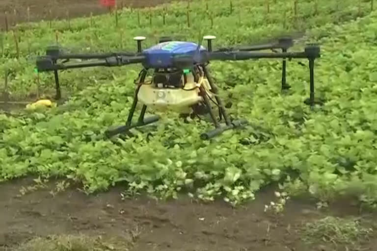 Drones usage in Agriculture