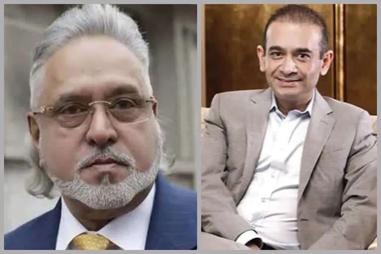 big amount  returned to banks from Mallya, Nirav & Choksi cases